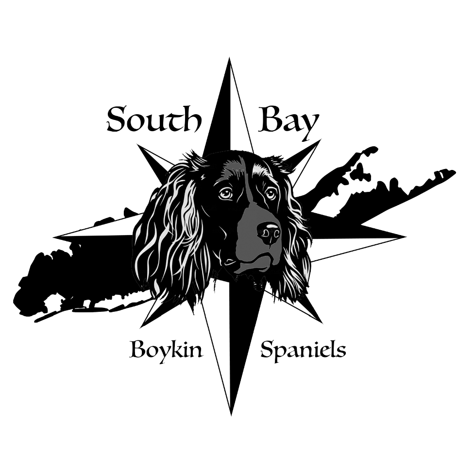 South Bay Boykin Spaniels: Heritage Meets Excellence
The logo for "South Bay Boykin Spaniels" seamlessly merges the legacy of Long Island with the timeless charm of our beloved Boykin Spaniels. This emblem not only captures the picturesque essence of Long Island but also features a captivating portrait icon of one of our cherished dogs. It stands as a testament to our commitment to breed excellence and showcases the distinctive elegance of Boykin Spaniels, making it a symbol of pride for the breeding company.
